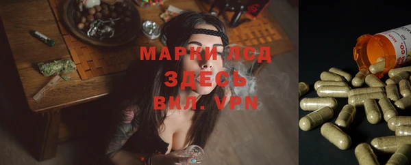 apvp Арсеньев