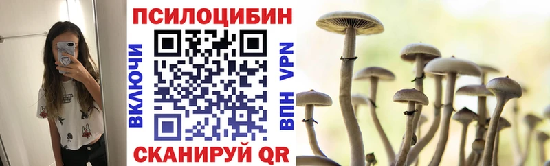 KRAKEN зеркало Рошаль Галлюциногенные грибы GOLDEN TEACHER